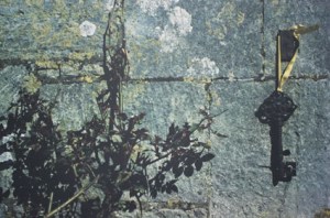 Charlotte-sLocks_DStartin 72dpi (2)