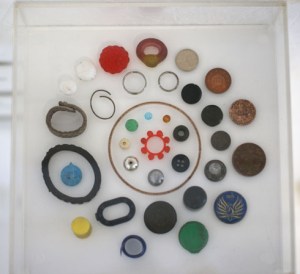 Joanna Rucklidge's work