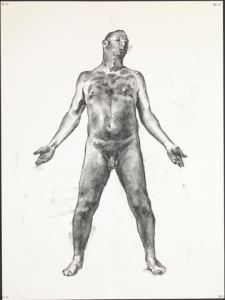 The Sadness of the Middle-Aged Life Model