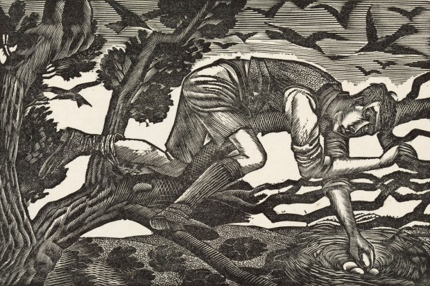 Eric Ravilious, Boy Birds-Nesting, 1926. Towner Art Gallery, Eastbourne