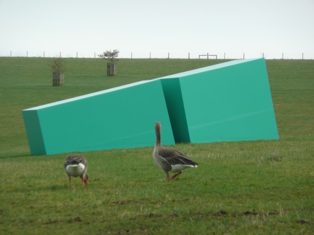 Geese